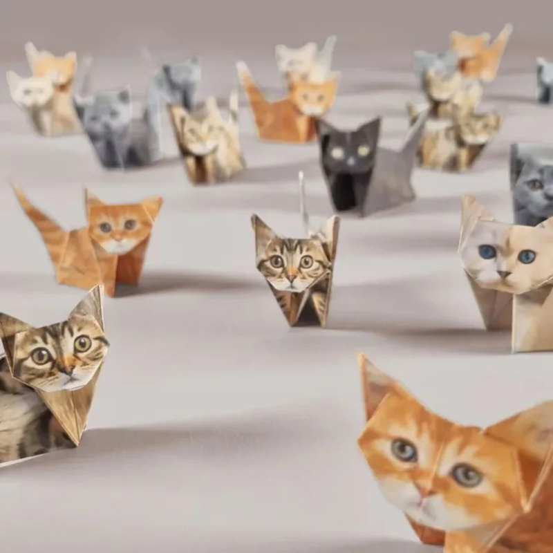 Creative DIY Paper Cats 50 She - Art Craft Cat recension och pris