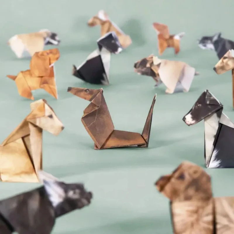 Creative DIY Paper Cats 50 She - Art Craft Cat recension och pris