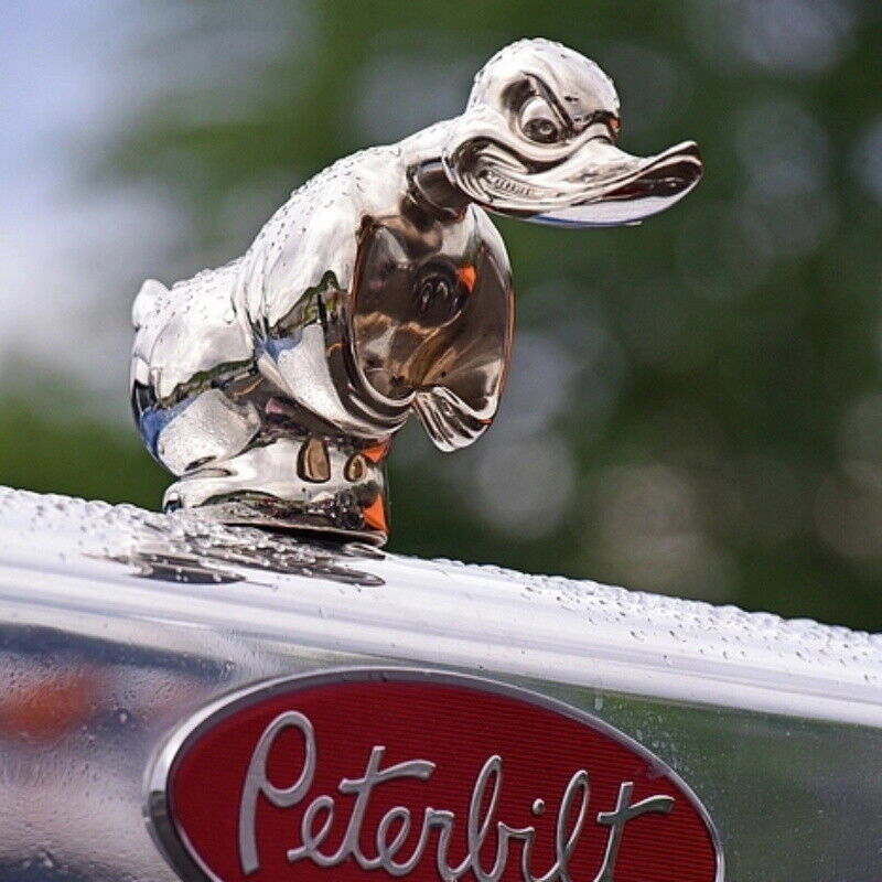 Hood Angry Duck Car Front Orna - Art Craft Duck recension och pris