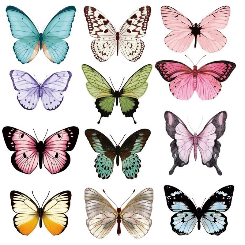 12pcs 3D Butterfly Wall Sticke - Art Craft Easter recension och pris