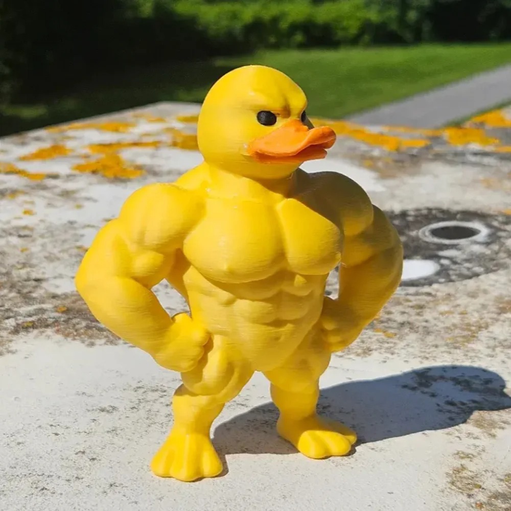 Muscle Duck Statue -3D Desktop - Art Craft Duck recension och pris